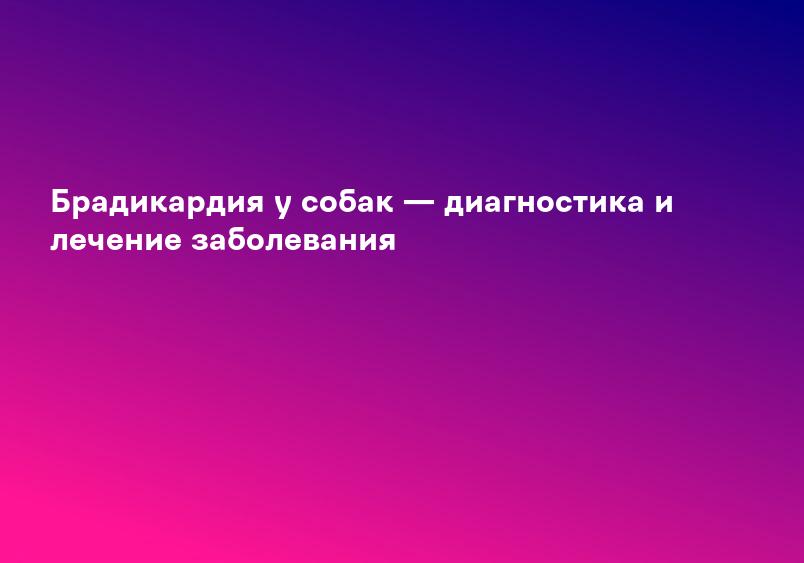 Брадикардия у собак — диагностика и лечение заболевания