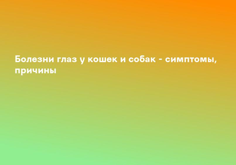 Болезни глаз у кошек и собак - симптомы, причины
