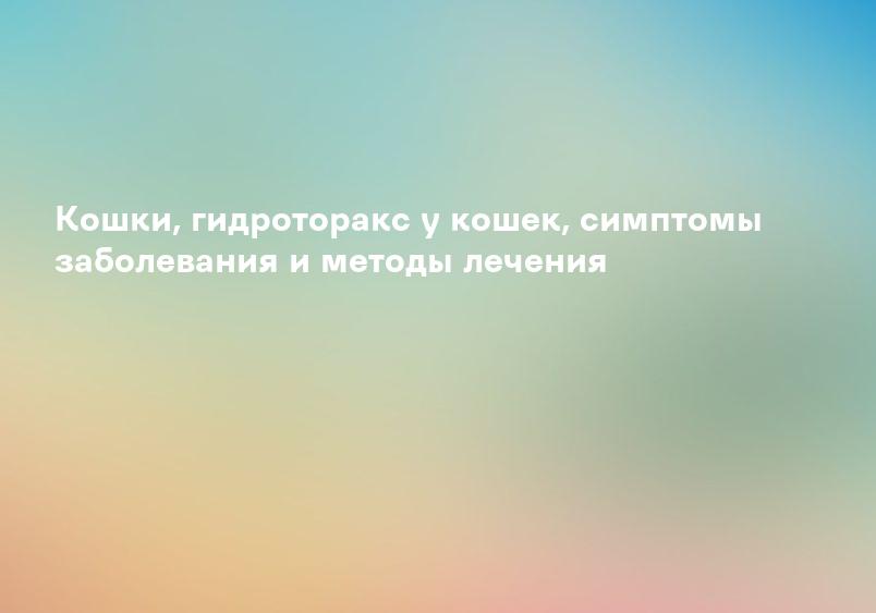 Гидроторакс у кошек (болезни кошек)