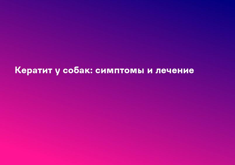 Кератит у собак: симптомы и лечение