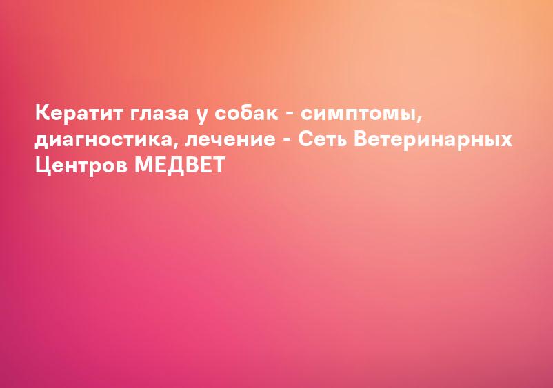 Кератит глаза у собак - симптомы, диагностика, лечение - Сеть Ветеринарных Центров МЕДВЕТ