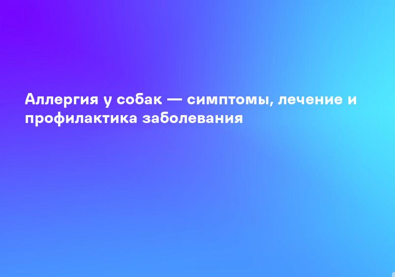 Аллергия у собак — симптомы, лечение и профилактика заболевания
