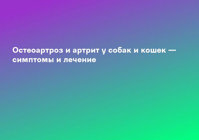 Остеоартроз и артрит у собак и кошек — симптомы и лечение