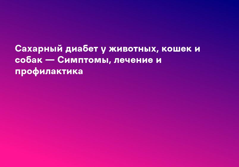 Сахарный диабет у животных, кошек и собак — Симптомы, лечение и профилактика